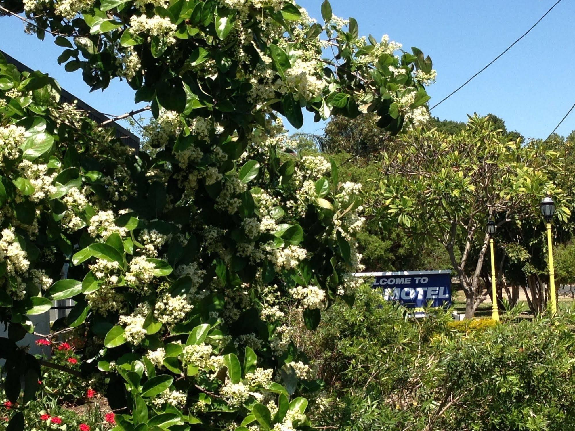 Boggabilla Motel Εξωτερικό φωτογραφία